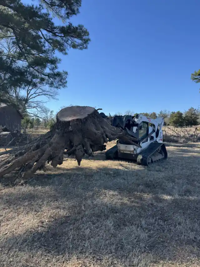 A pulled root ball lying beside a track loader in a dry winter field