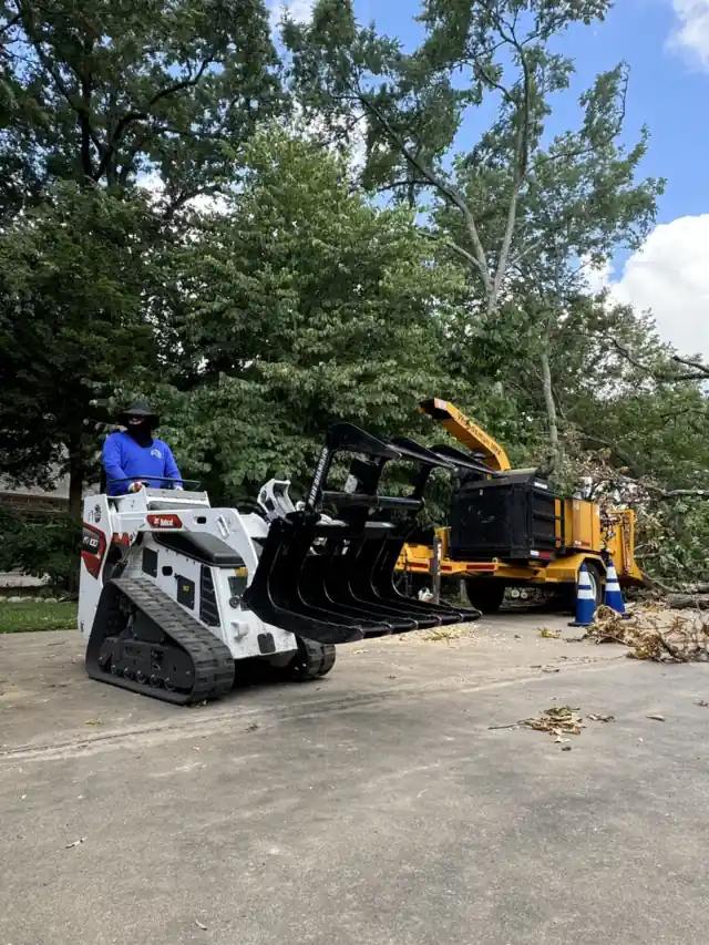 A JR Tree Service operator on the mini track loader with a grapple, the chipper behind on the street